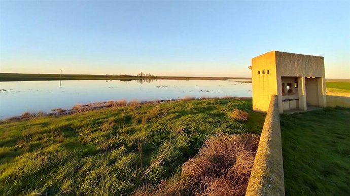 Imagen de las lagunas de Villafáfila tras las lluvias caídas en los últimos días