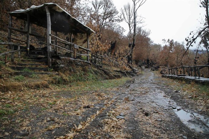 Archivo - Zona arrasada por el fuego en O Courel (Lugo)