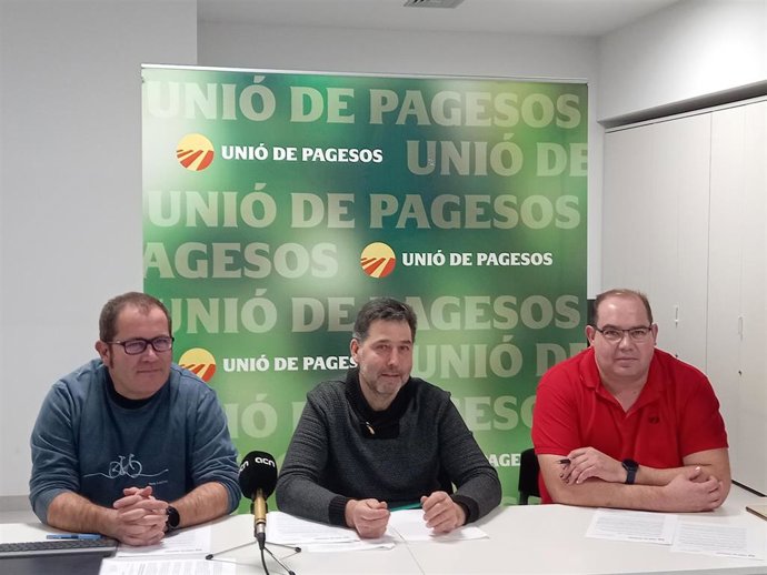 Los ganaderos catalanes perdieron casi 7 euros por cerdo en 2022 por el "aumento" de costes