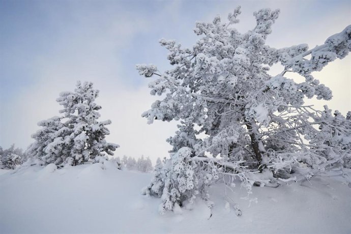 Archivo - Nieve en la estación de esquí Larra - Belagua, en el valle de Roncal, a 3 de diciembre de 2022, Navarra, (España). Este fin de semana se han abierto las pistas de esquí El Ferial y La Contienda, con un total de 13,2 kilómetros esquiables, espe
