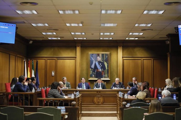 Pleno extraordinario en la Diputación Provincial de Almería