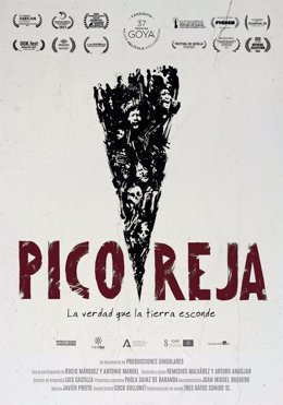Cartel del documental 'Pico Reja. La verdad que la tierra esconde', que se proyectará durante las jornadas.