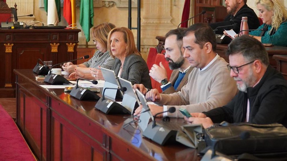 Begoña Medina, viceportavoz socialista en el Ayuntamiento de Málaga