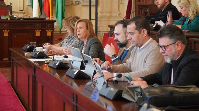 Begoña Medina, viceportavoz socialista en el Ayuntamiento de Málaga