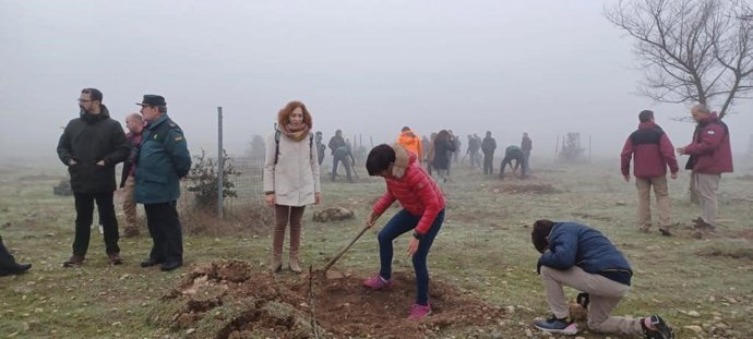 La directora general de la Guardia Civil, María Gámez, en una jornada de reforestación de encinas en las Tablas de Daimiel