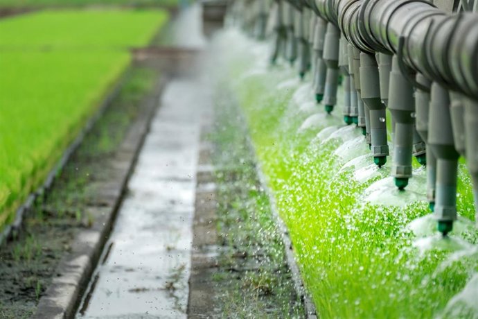 Np Agricultura Convoca 18 M En Ayudas A Grupos Operativos De Innovación Agroalimentaria