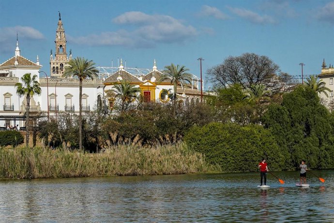Archivo - Imagen de la plaza de toros de la Real Maestranza