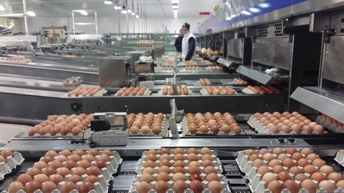 La inversión supera los 300 millones.