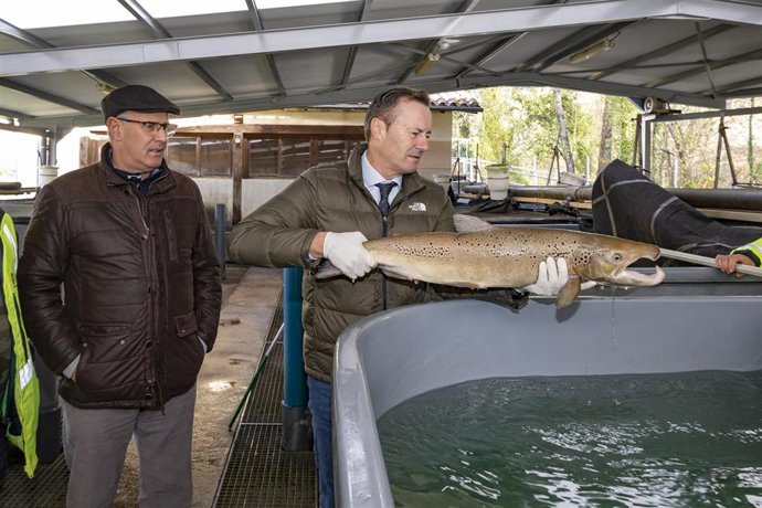 Archivo - El consejero de Desarrollo Rural, Ganadería, Pesca, Alimentación y Medio Ambiente, Guillermo Blanco, en el Centro Ictiológico de Arredondo