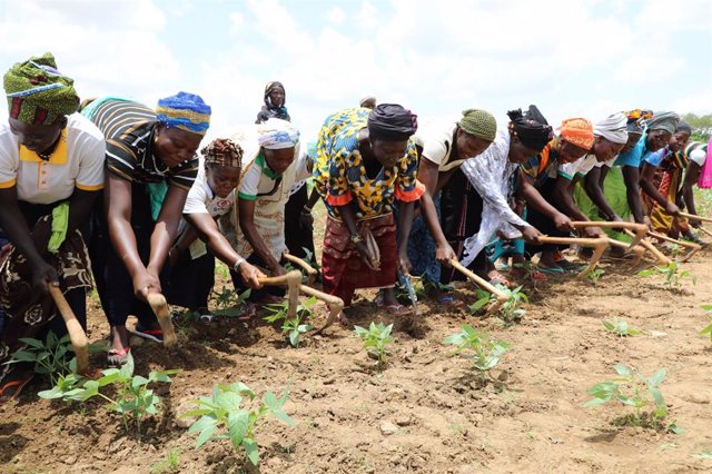 Archivo - Mujeres agricultoras en Burkina Faso (ARCHIVO)
