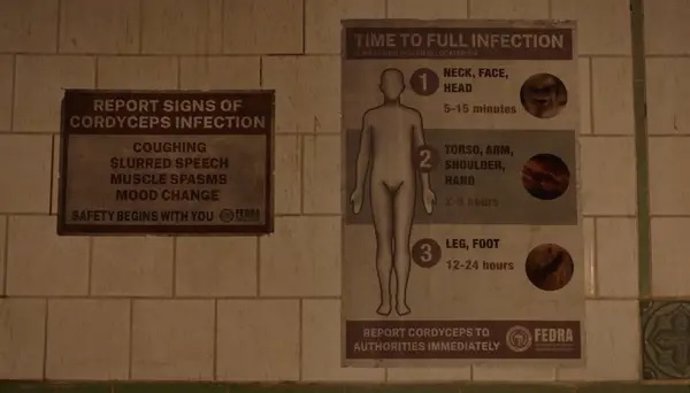 The Last of Us: ¿Es real el hongo Cordyceps y puede infectar a los humanos?