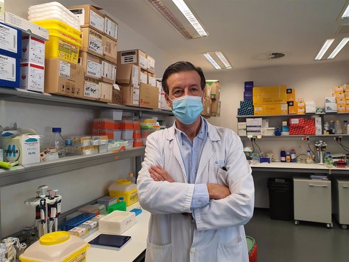 Archivo - Investigadores madrileños crean un nuevo anticuerpo que frena el crecimiento de algunos tumores y elimina la toxicidad
