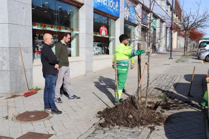 Medio Ambiente finaliza la reposición de 80 nuevos árboles en varias zonas de la ciudad de Segovia.