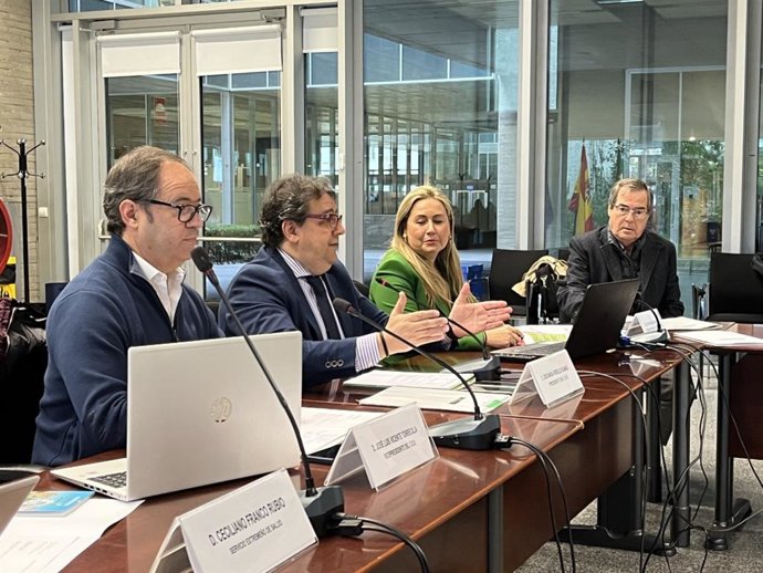 Vergeles preside el pleno del Consejo Extremeño de Salud