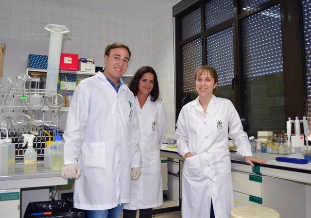 Las investigadoras de la Universidad de Cádiz Mónica García Alloza y María Vargas Soria, junto con el profesor del Departamento de Fisiología de la UGR Juan José Ramos Rodríguez.
