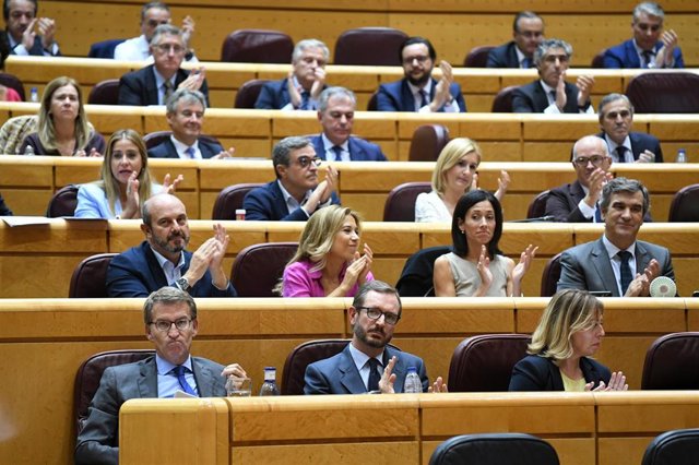 Archivo - Bancada del PP en el Senado