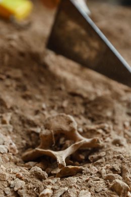 Archivo - Descubren cientos de restos humanos prehistóricos, en una cueva, en la sierra de Orihuela, a 24 de abril de 2022