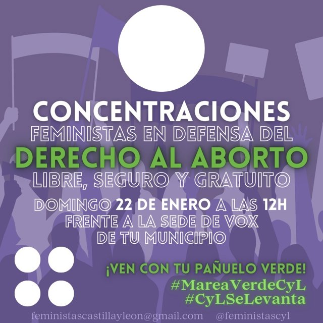 Plataforma Feminista convoca concentraciones en toda CyL contra el protocolo 'provida' de García-Gallardo.