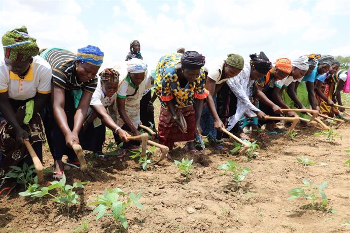 Archivo - Mujeres agricultoras en Burkina Faso