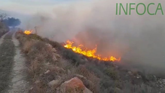 Incendio forestal en Lubrín (Almería).