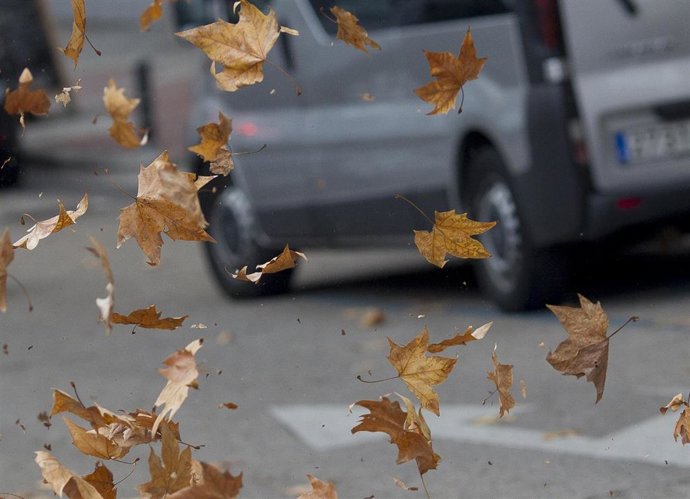 Archivo - Recursos de viento, temporal, hojas, otoño