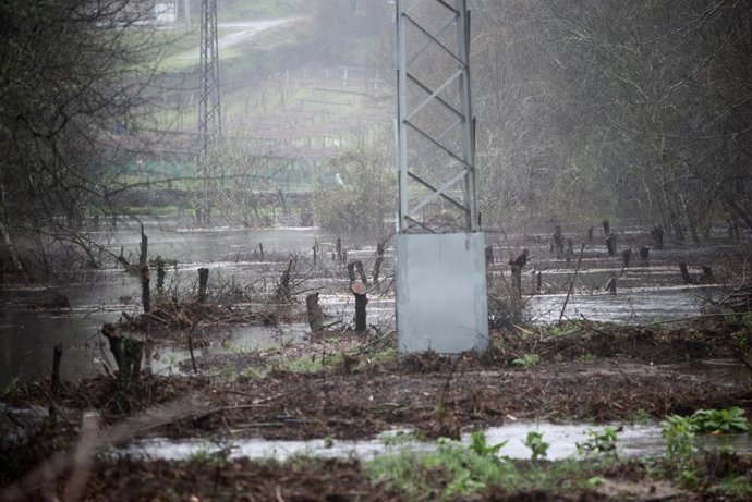 El río Lérez a su paso por Ponte Bora, a 16 de enero de 2023, en Pontevedra, Galicia (España).