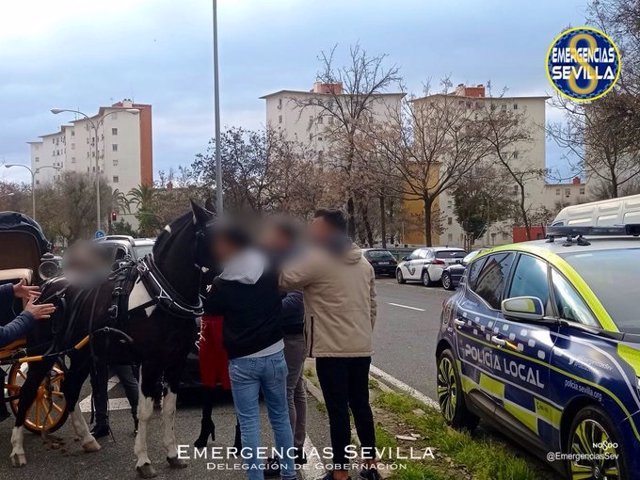 Intervención policial en Los Remedios tras desbocarse un caballo.