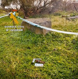 Lugar donde se localizó una granada de mortero de la Guerra Civil en Malpartida de la Serena