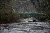Una docena de ríos en Galicia mantienen activada la alerta por riesgo de desbordamiento