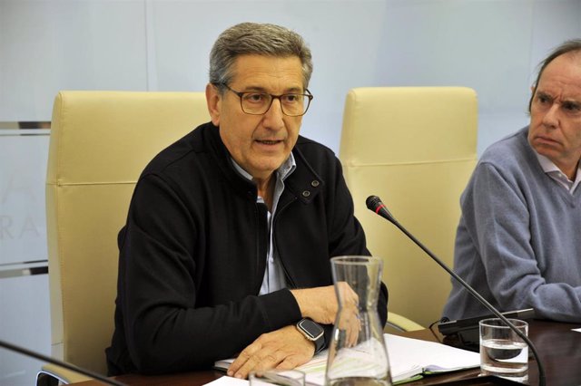 El secretario general de Empleo, Javier Luna, en la Asamblea de Extremadura