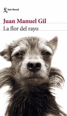 La nueva novela 'La flor de rayo' de Juan Manuel Gil llega a las librerías el 18 de enero.