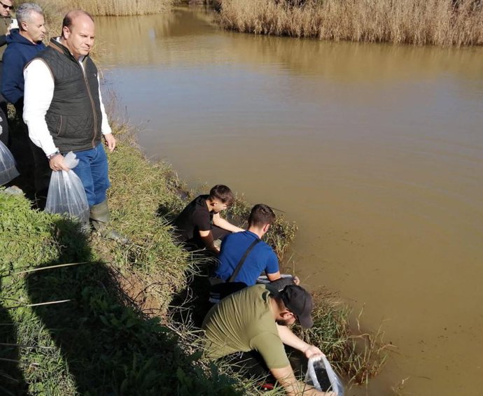 El delegado territorial de Sostenibilidad, Medio Ambiente y Economía Azul del Gobierno andaluz en Cádiz, Óscar Curtido, participa en la suelta de más de 140 kilos de anguila europea en ríos de la provincia de Cádiz