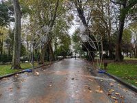 El Ayuntamiento cierra el Campo San Francisco debido a las previsiones de viento y lluvia