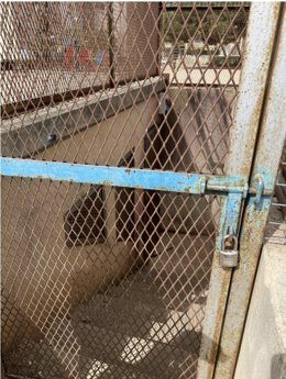 Archivo - Candado en la puerta de la Asociación de Vecinos Ses Cases Noves-Coll d'en Rabassa.