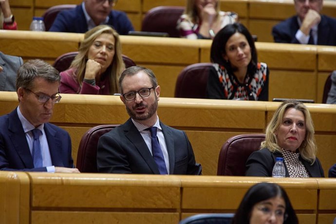 El líder del Partido Popular, Alberto Núñez Feijóo, y el portavoz del PP en el senado, Javier Maroto, durante una sesión de control al Gobierno en el Senado, a 21 de diciembre de 2022, en Madrid (España).  El presidente del Gobierno, Pedro Sánchez, y el