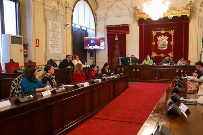Un momento de la celebración del Consejo Sectorial LGTBI celebrado en el Ayuntamiento de Málaga.