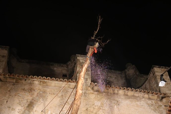 Coronación del pi de Pollena tras la suspensión de la fiesta