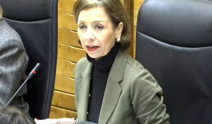La concejala del PP de Gijón, Ángeles Fernández-Ahúja, durante su intervención en el Pleno Municipal gijonés