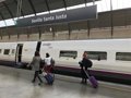 Los trenes AVE Madrid-Sevilla circulan por una sola vía pero ya sin restricciones de velocidad