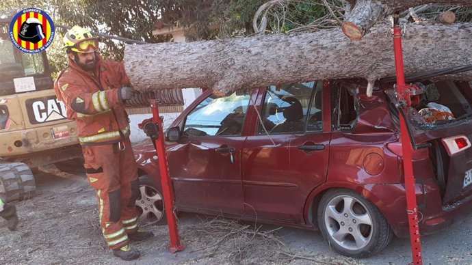 Arbol caído sobre un coche