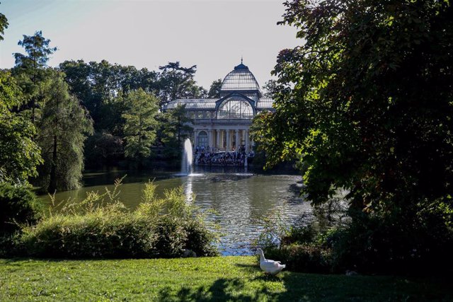Archivo - Vista del palacio de cristal en el parque del Retiro.
