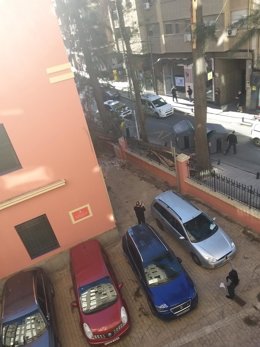 Imagen del árbol que ha caído por el viento en la céntrica calle Puerta Nueva de Murcia
