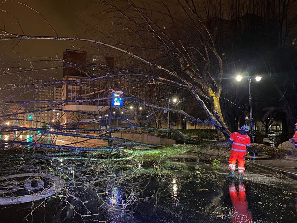 Árbol caído por el temporal en Gijón