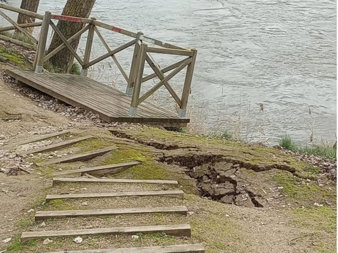 Desembocadura del Arroyo Rodastillo donde los chopos plantean riesgo por caída.
