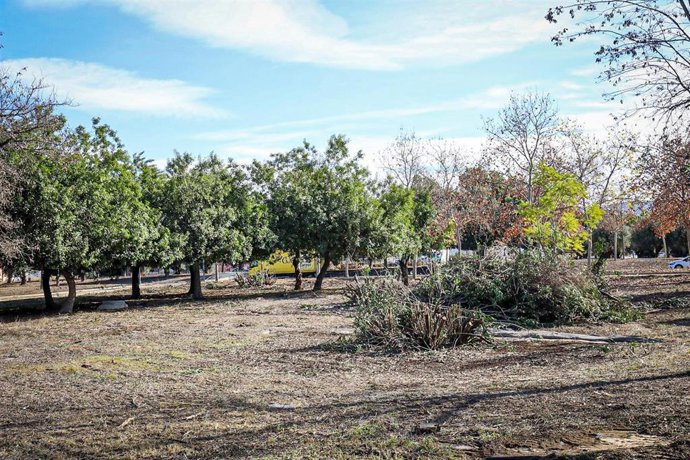 Imagen de las parcelas municipales acondicionadas en San Ginés
