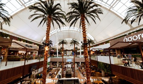 Comunicados Sociedad