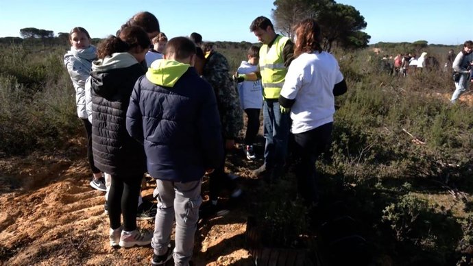 Escolares de Moguer participan en la reforestación de una zona afectada por el incendio de Las Peñuelas