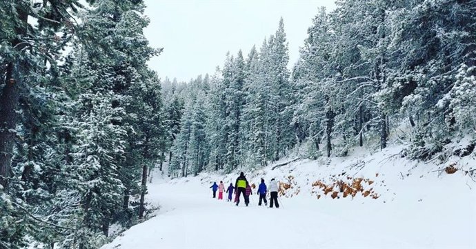 Alumnos de la Escuela Arrels ya han realizado las primeras sesiones de esquí de fondo en la estación de Tuixent-La Vansa (Lleida)