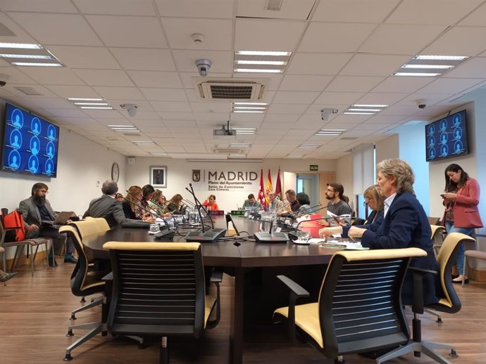 Archivo - Comisión de Vicealcaldía en el Ayuntamiento de Madrid