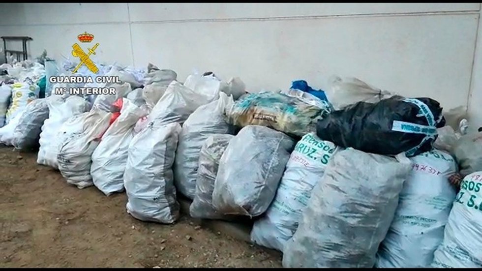 La Guardia Civil ha intervenido 17.527 kilos de piñas de pino piñonero en la provincia de Huelva.